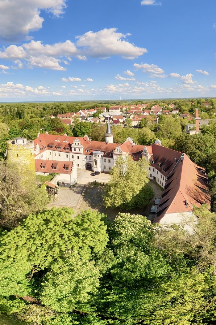 Alter Baumbestand des Schlossparks aus der Luft